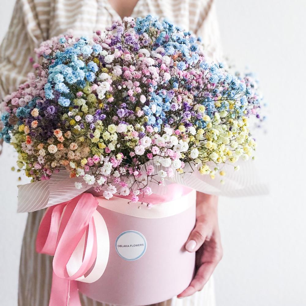 Гипсофила «Радужный сон»