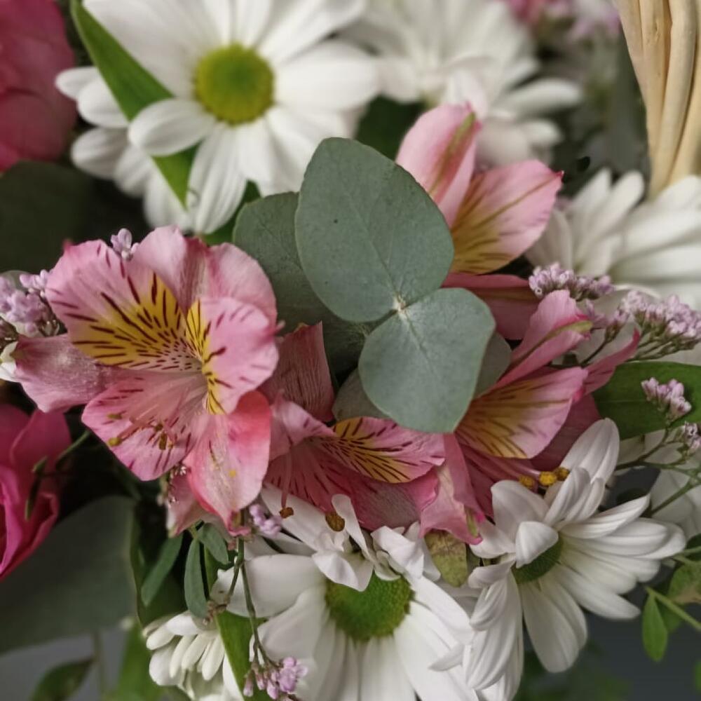 хризантемами хризантемами