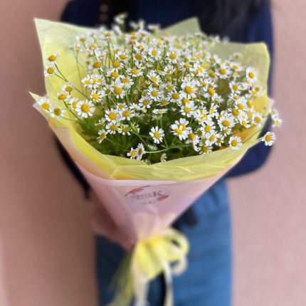 Моно из ромашек