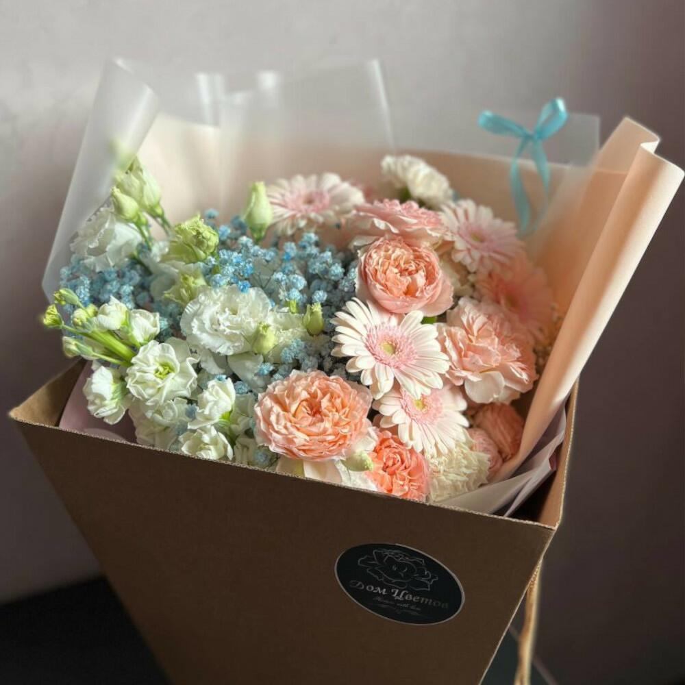 гипсофила гипсофила