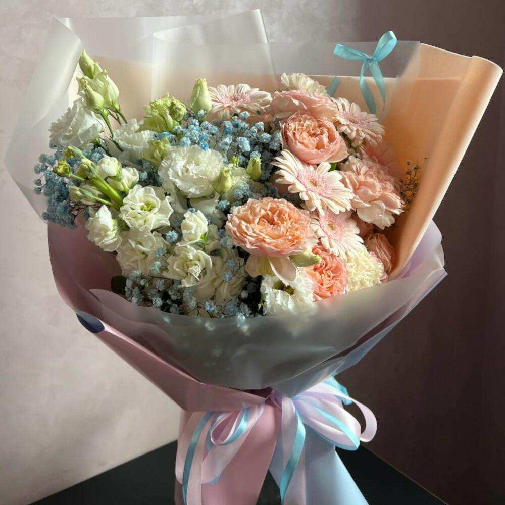 герберы герберы