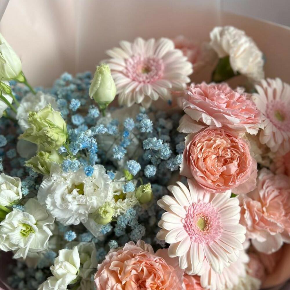 лизиантуса лизиантуса