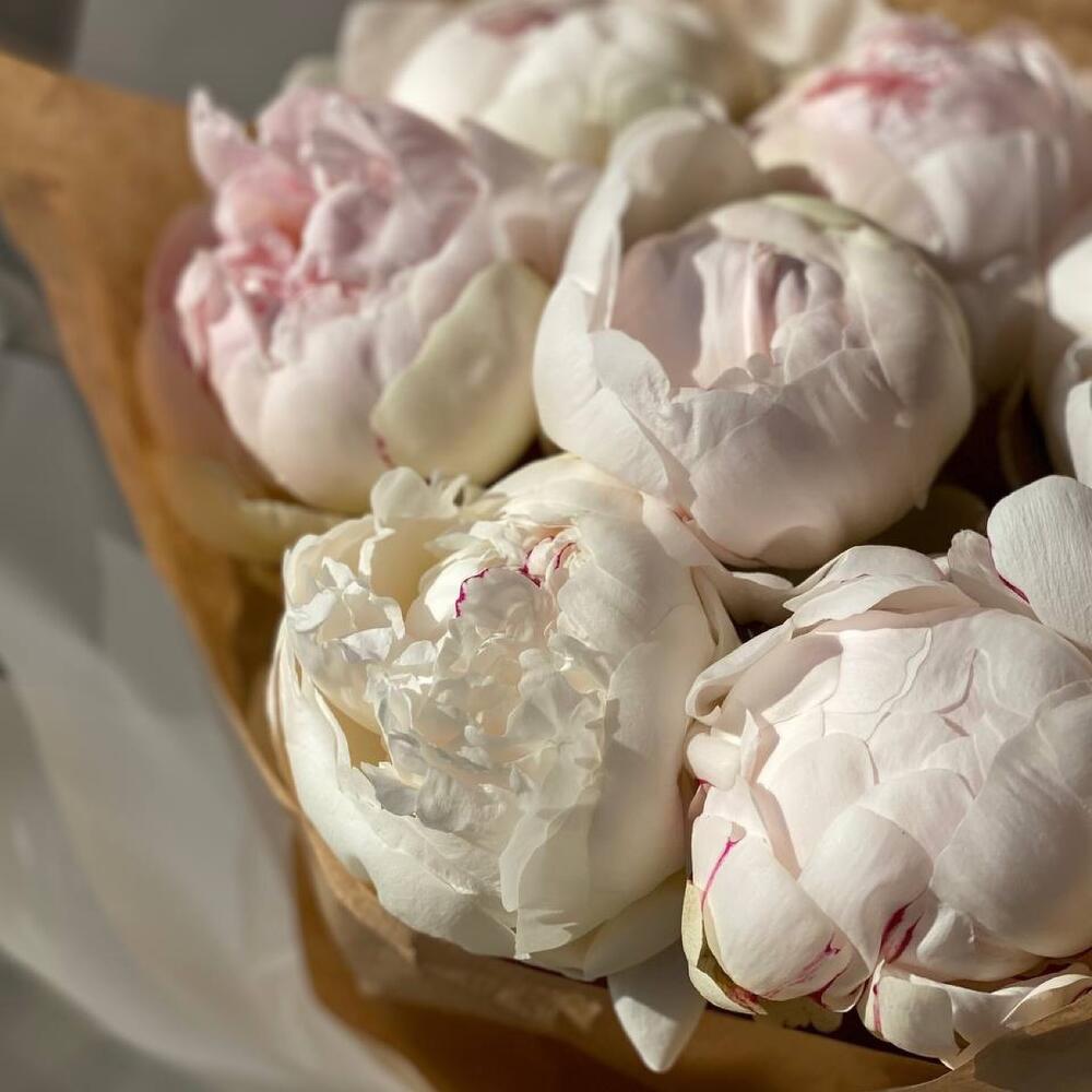 Букет из белых пионов