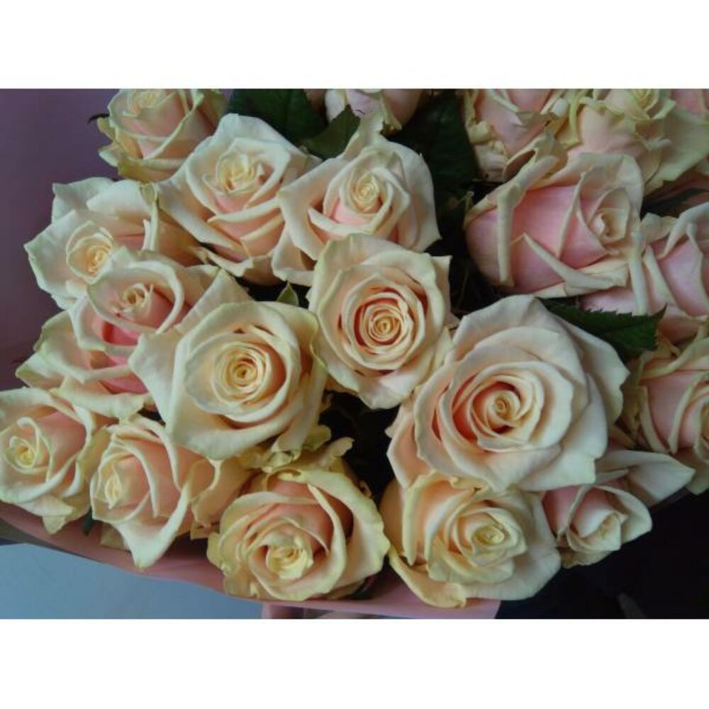 Талея Талея