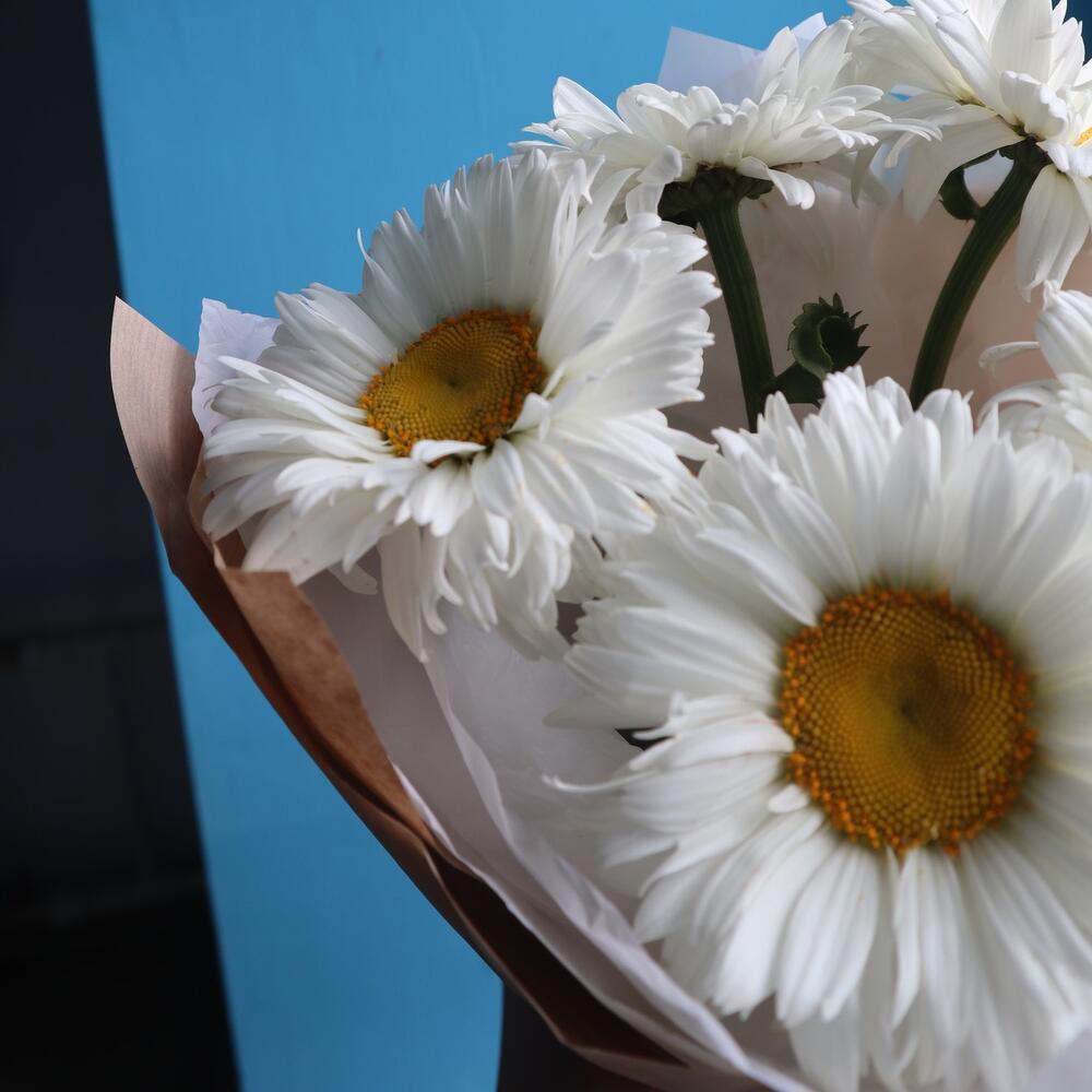 не любит не любит