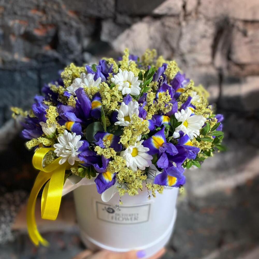 лимониума лимониума