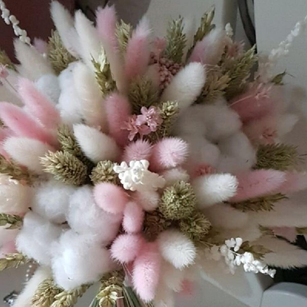 хлопка и пшеницы хлопка и пшеницы