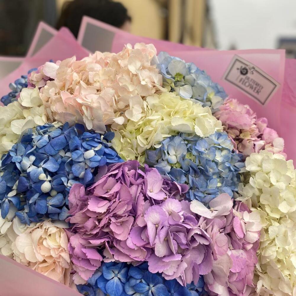 Букет из 15 разноцветных гортензий 
