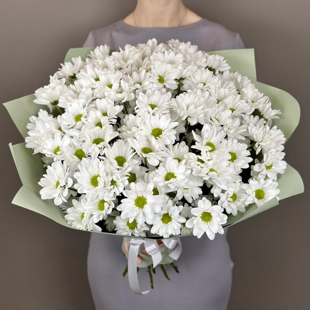 Букет хризантем (ромошковидной), 15 шт