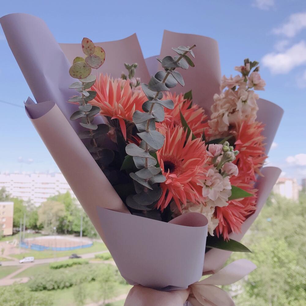 маттиола маттиола