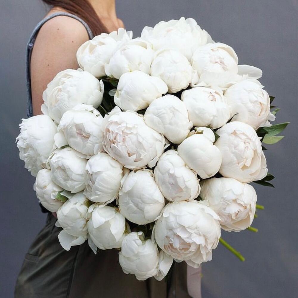 Букет из 27 белых пион