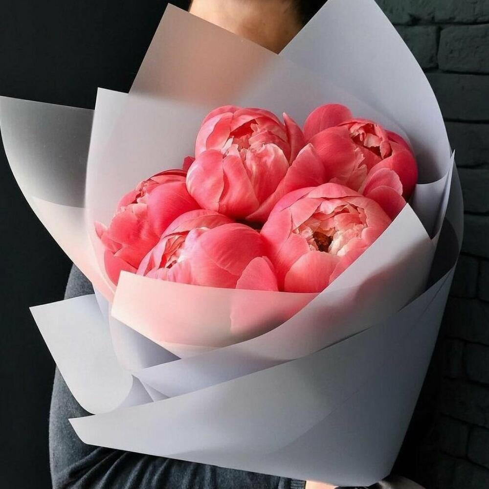 5 пионов корал Шарм