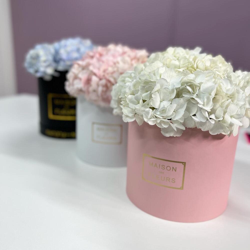 Гортензии в коробке